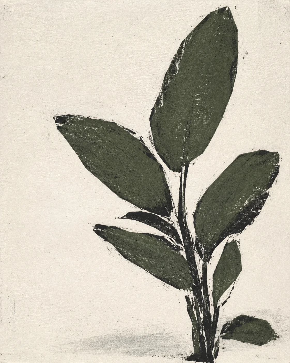 绿叶静影,柔性植物风格的空间挂画作品