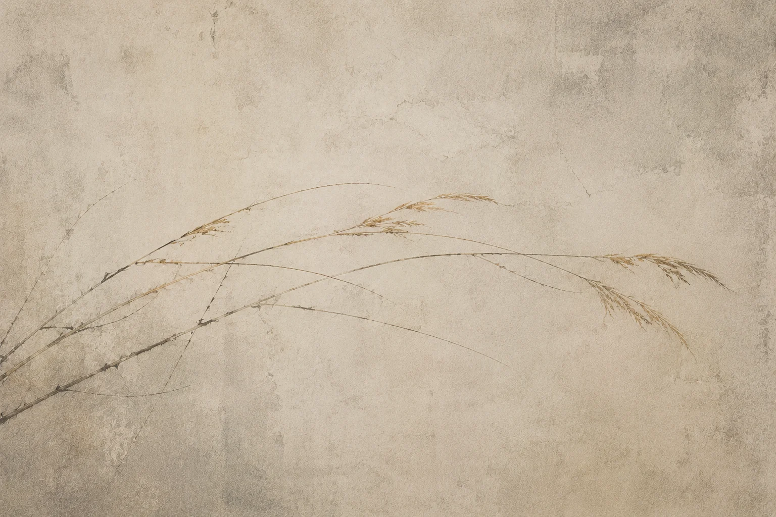草影线,柔性植物风格的空间挂画作品